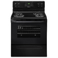 Self Clean Electric Range - Black